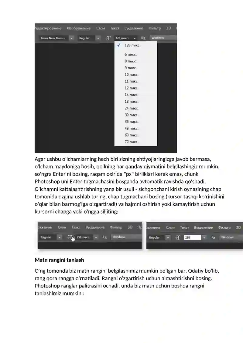 Adobe Photoshop 3