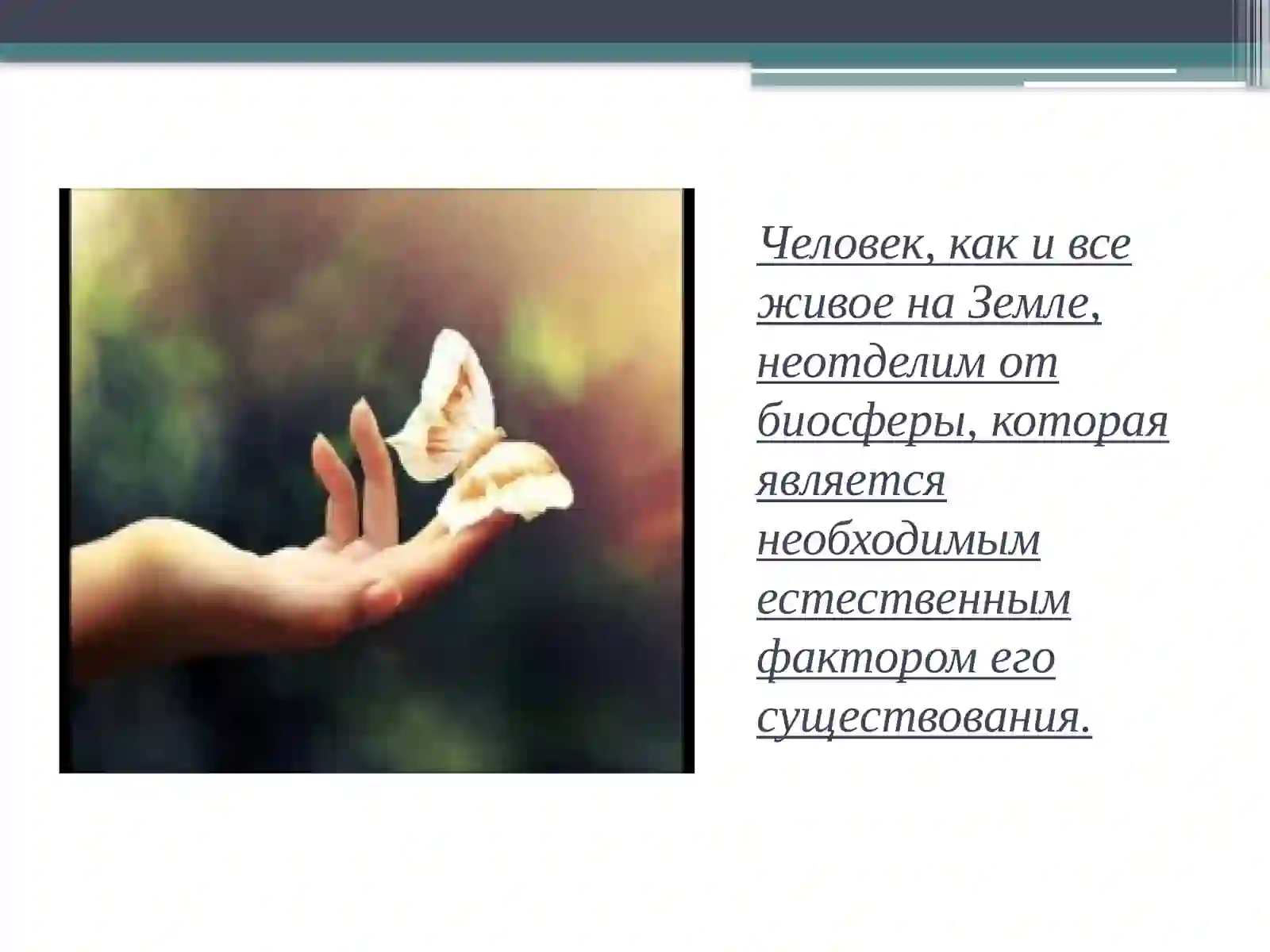 Человек и природа 3
