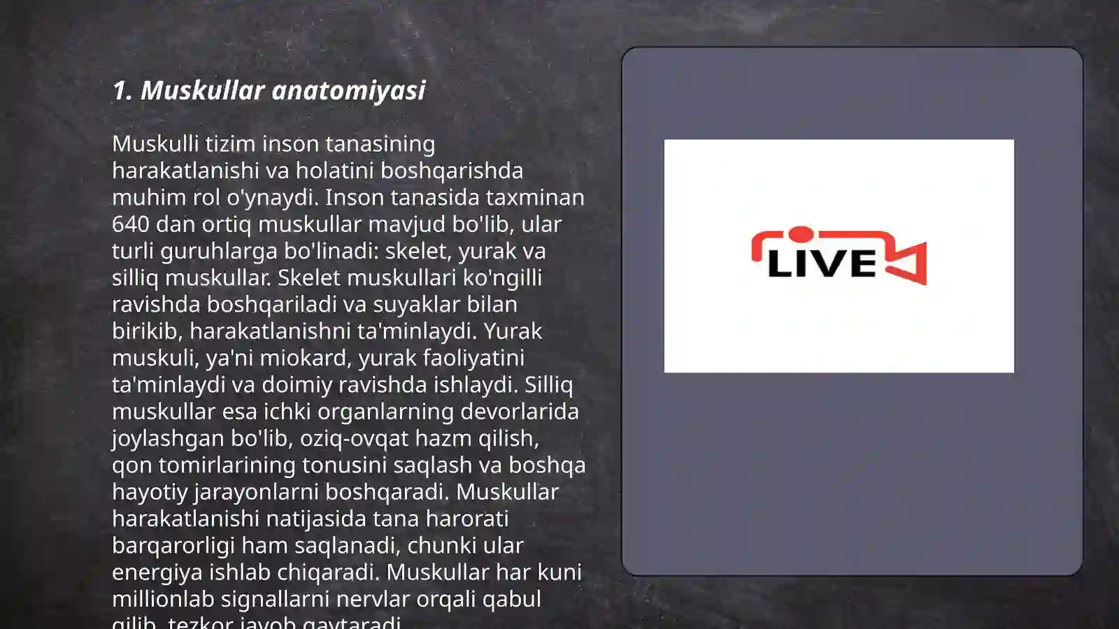 Muskullar anatomiyasi 3
