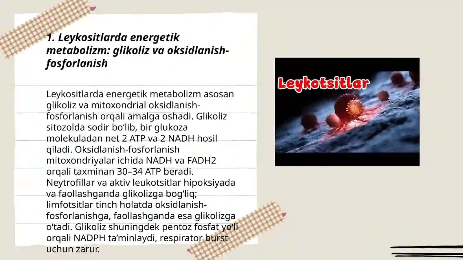 Leykositlar metabalizmi xususiyatlari 3