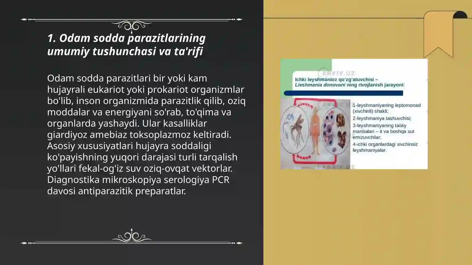 Odam sodda parazitlari 3