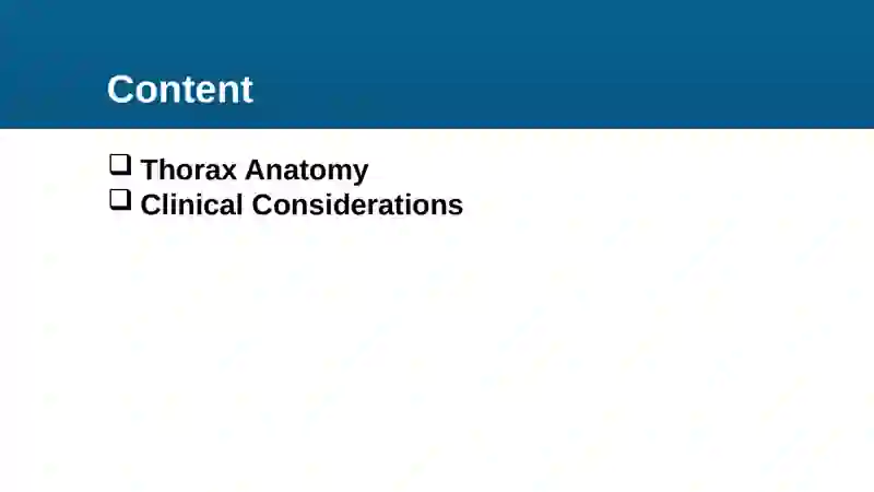 Thorax Anatomy 3