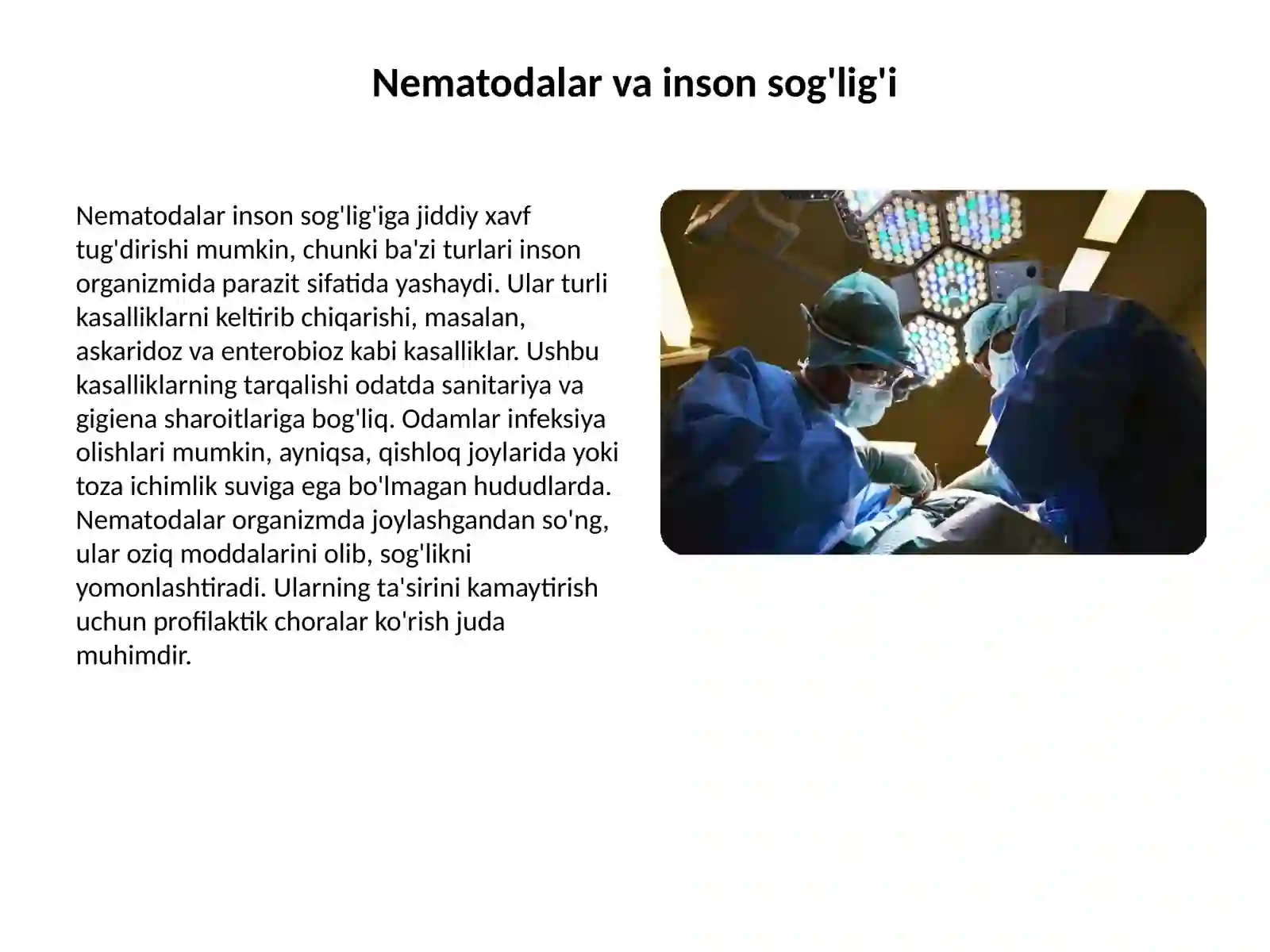 Nematodalar sinifi: Umumiy ma'lumotlar 3