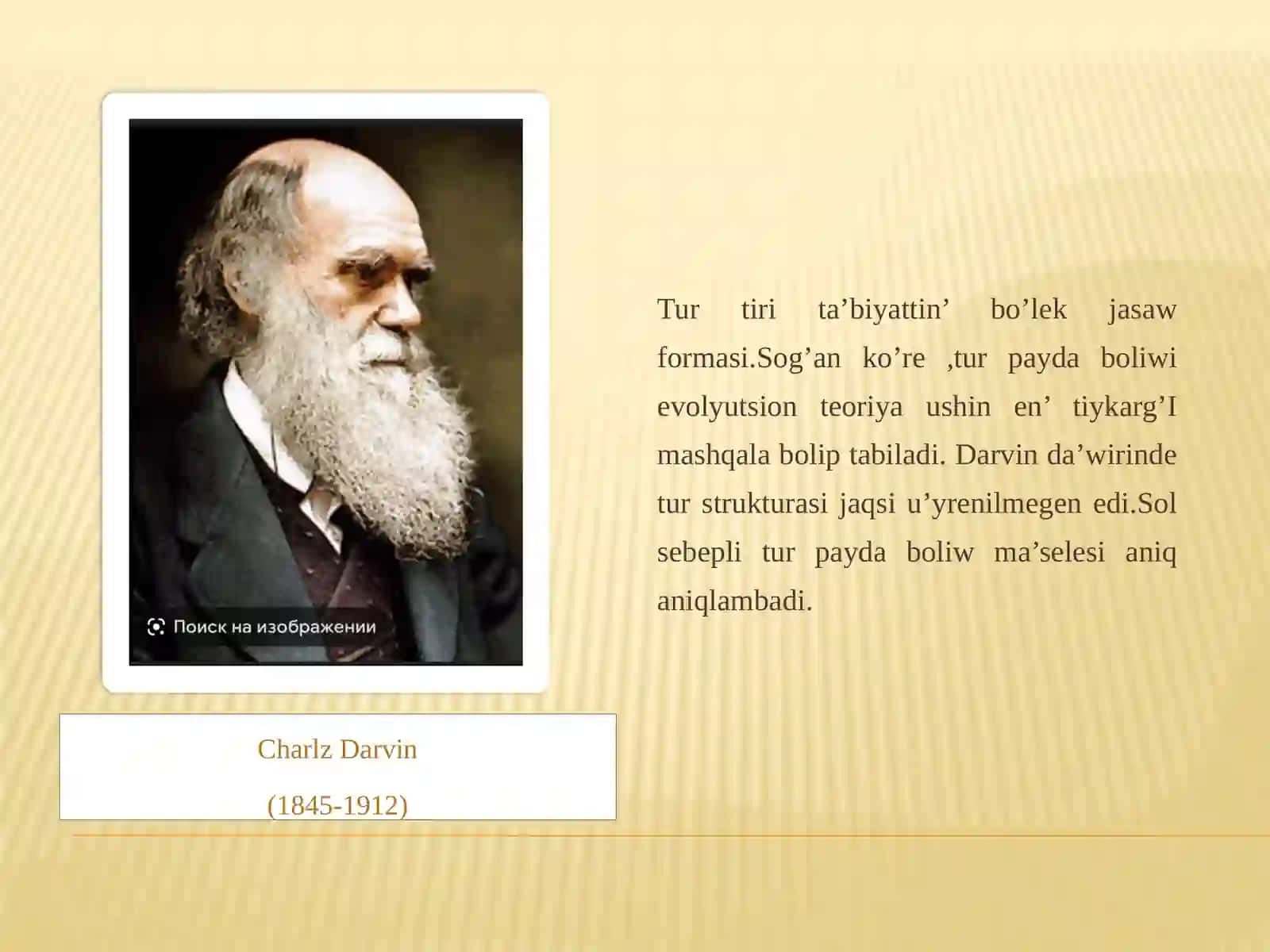 Insan Evolyutsiyasi ha'm Alding'i Tariyx Pa'ninen Slayd Jumisi 3