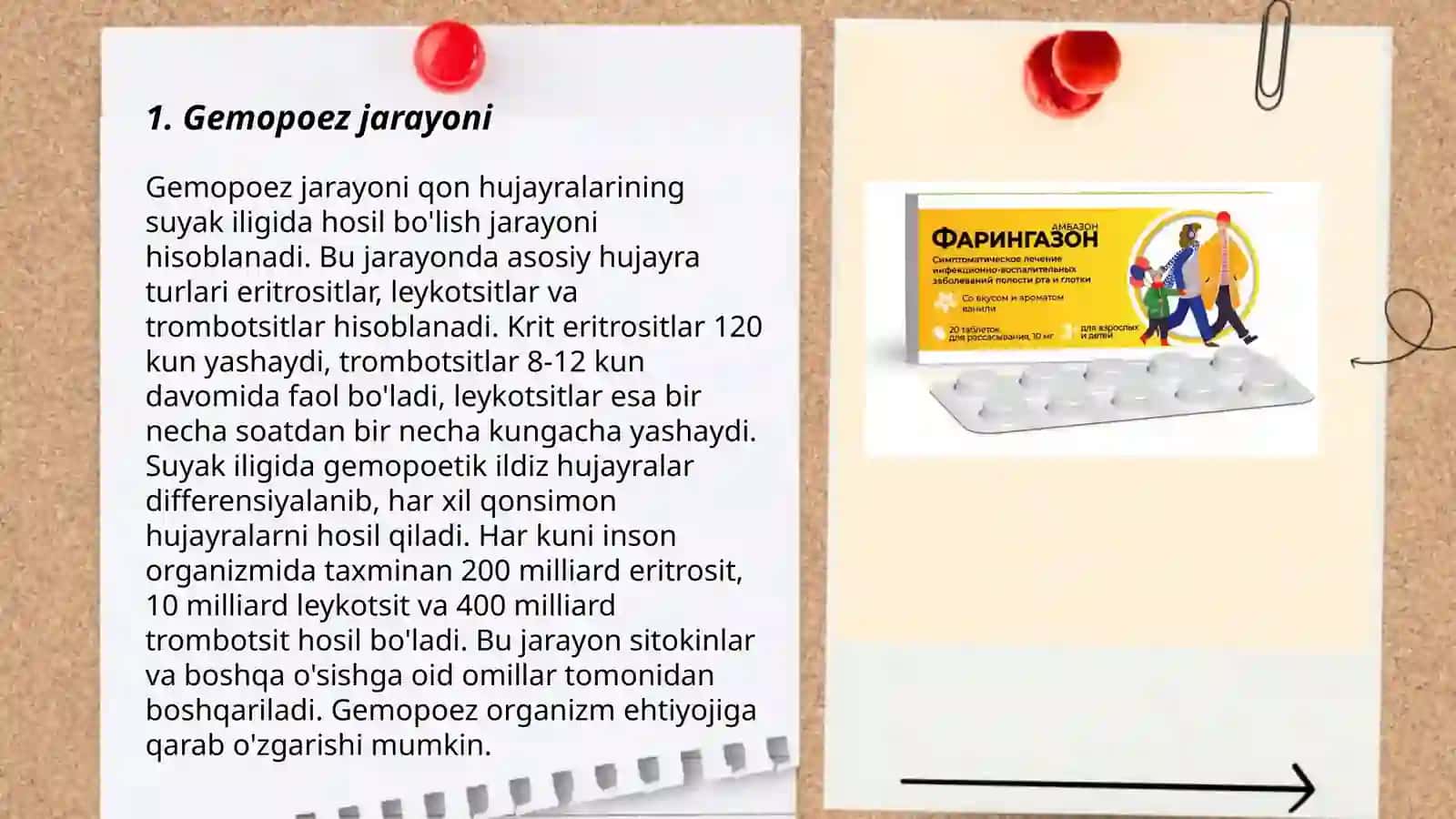 Gemopoyez. Qon hosil bo’lishi 3