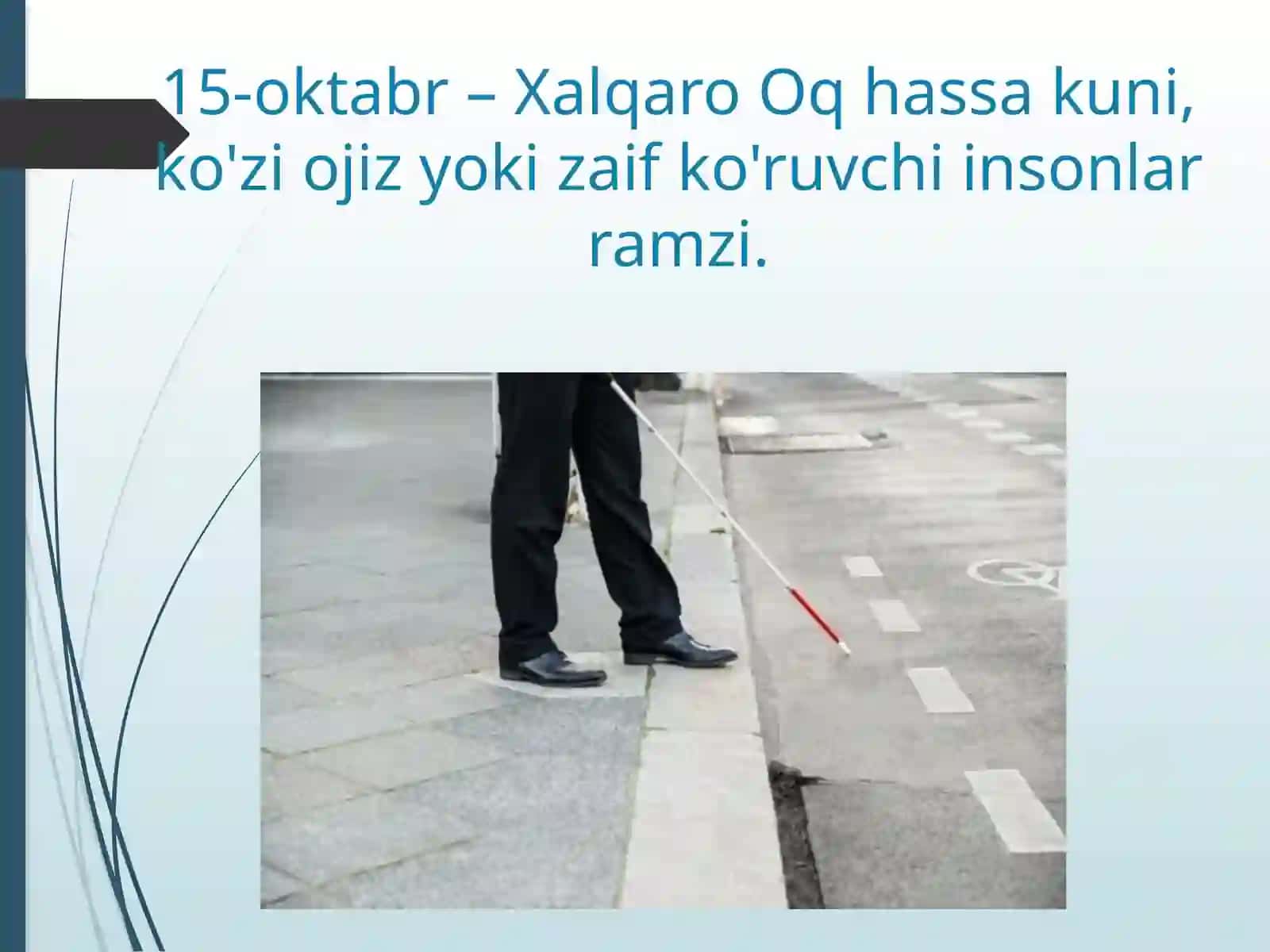 Ko'rish imkoniyati cheklanganlar va Oq hassa xalqaro kuni 3