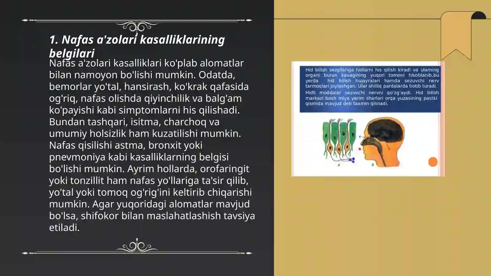 Nafas a'zolari kasalliklari bo'lgan bemor bilan muloqot 3