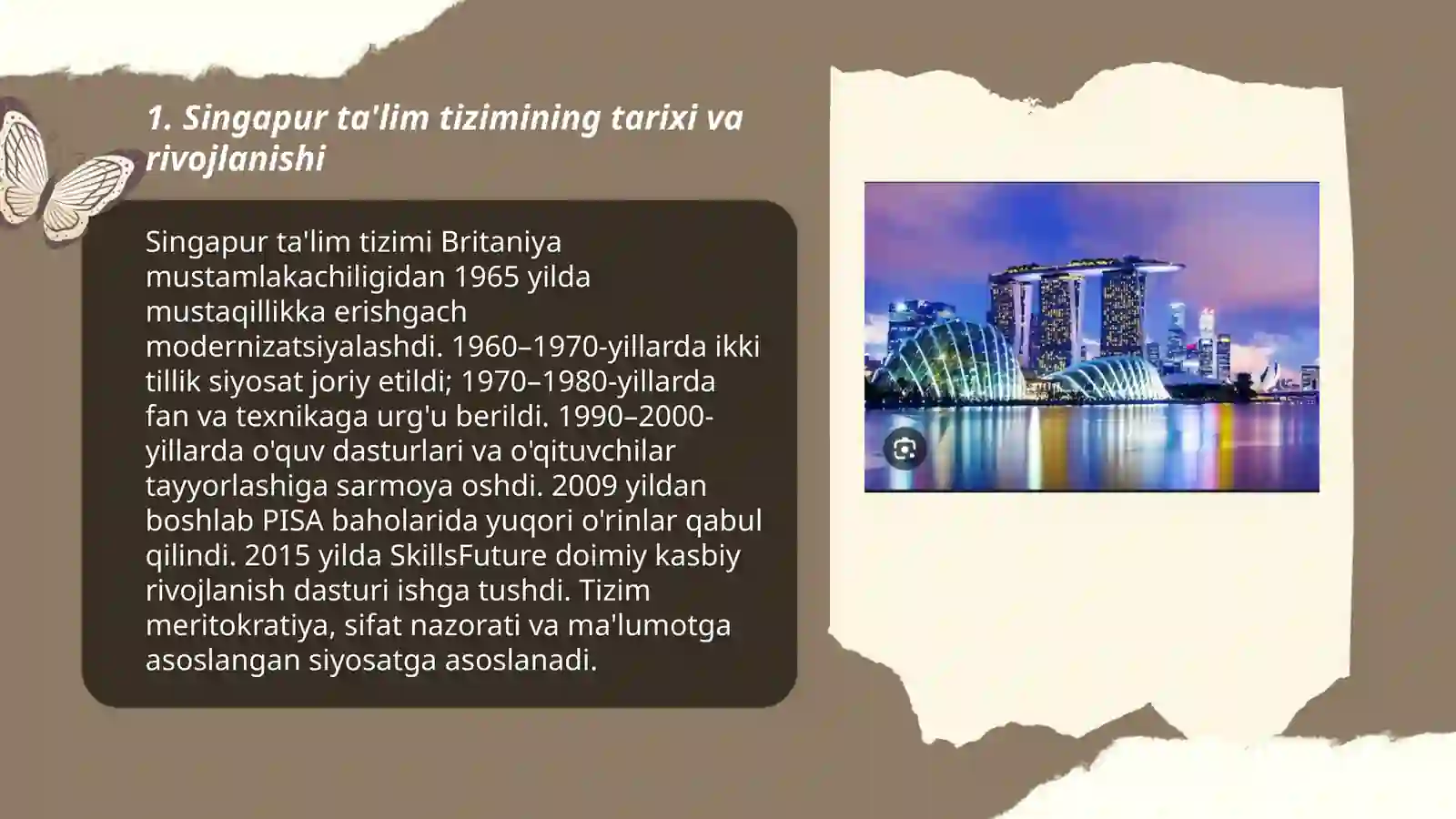 Singapur talim tizimi 3