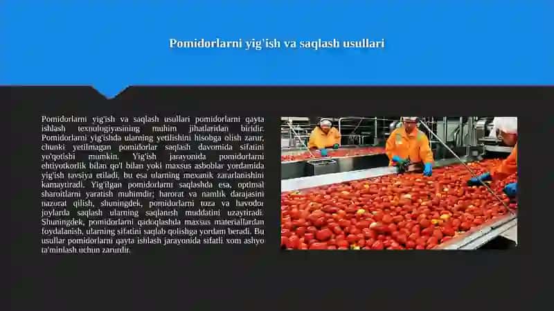 Pomidorlarni qayta ishlash texnologiyasi 3
