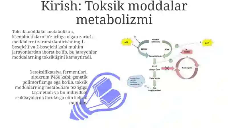 Zaharlimoddalarning organizmdagi metabolizmi 3
