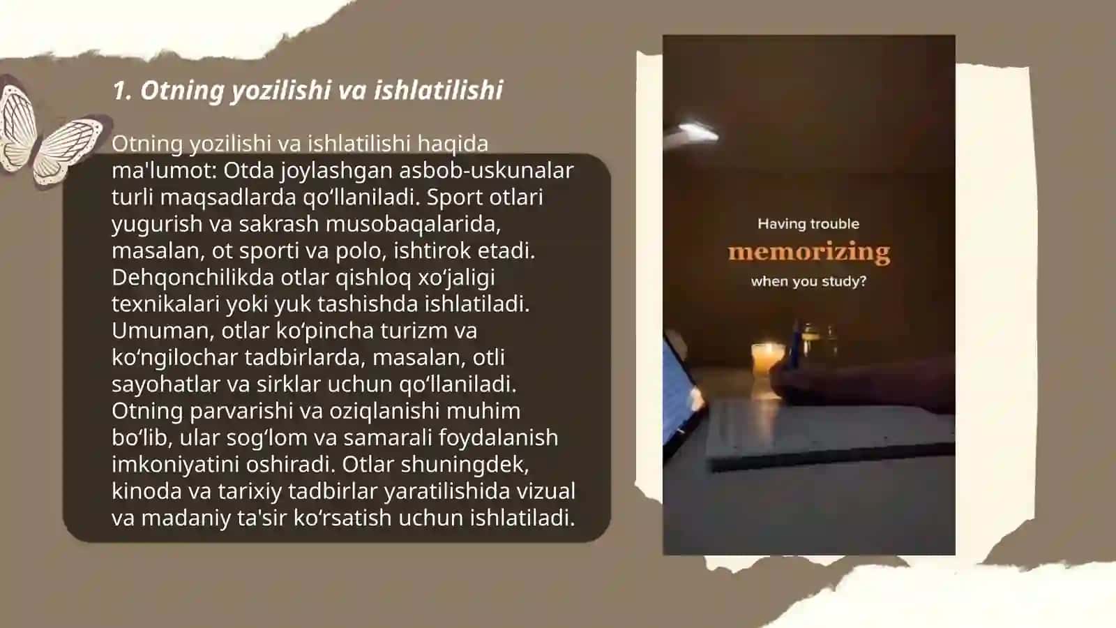 Soʻz turkumlarini oʻrganishda hosil qilinadigan orfografik bilimlar 3