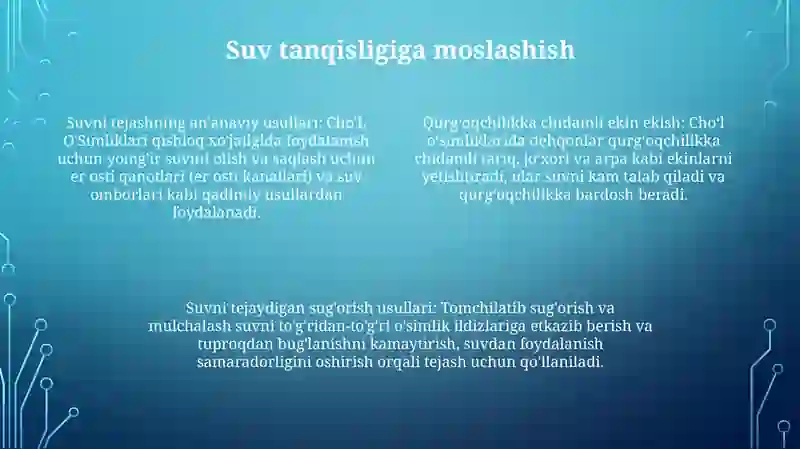 Cho‘L O‘Simliklari 3