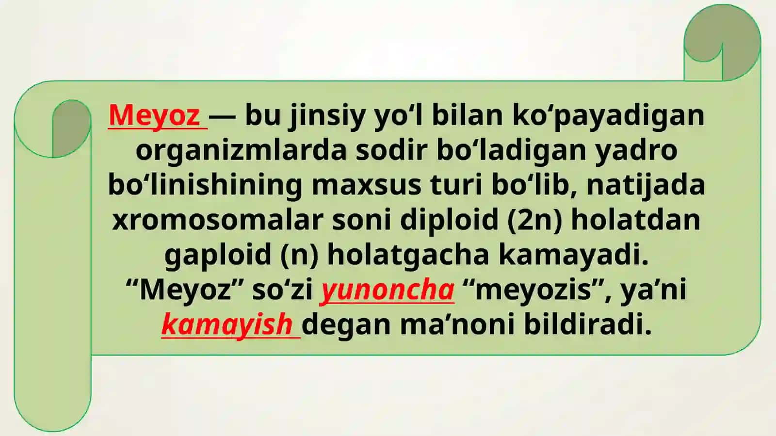 Meyoz 3