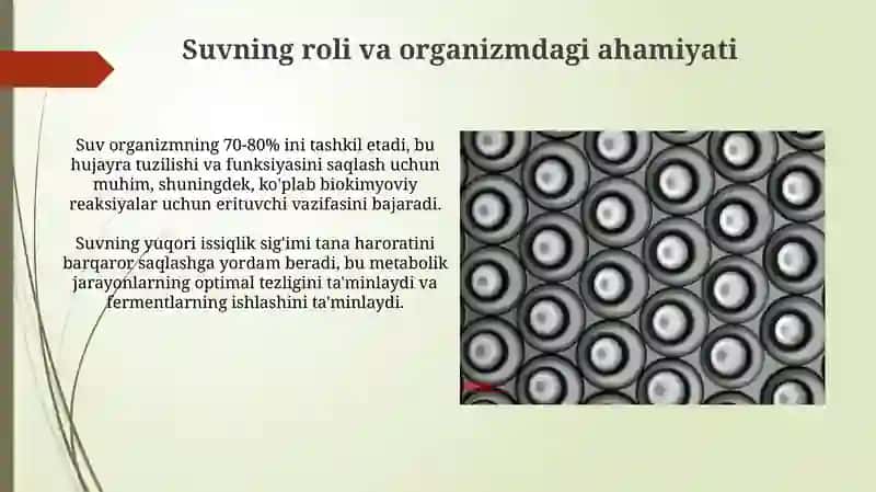 Oʻrganizmning suv-dispers sistemasi 3