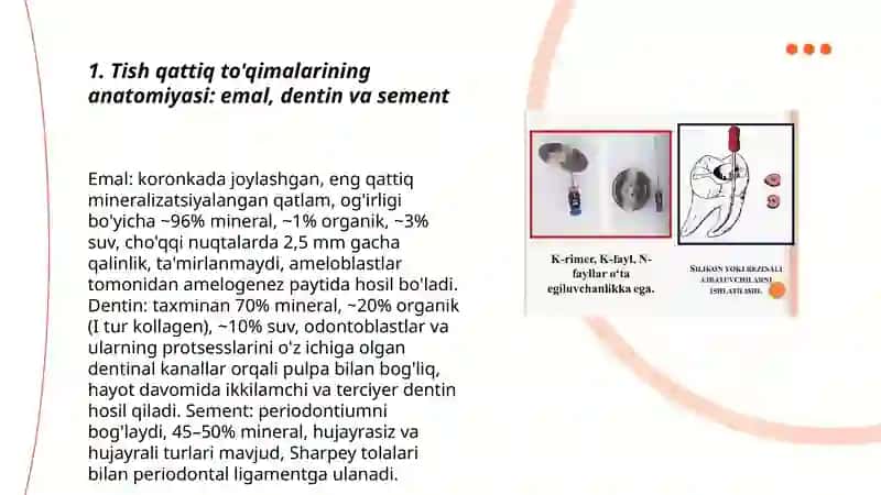 Tish qattiq toqimasini charxlash tamoyillari 3
