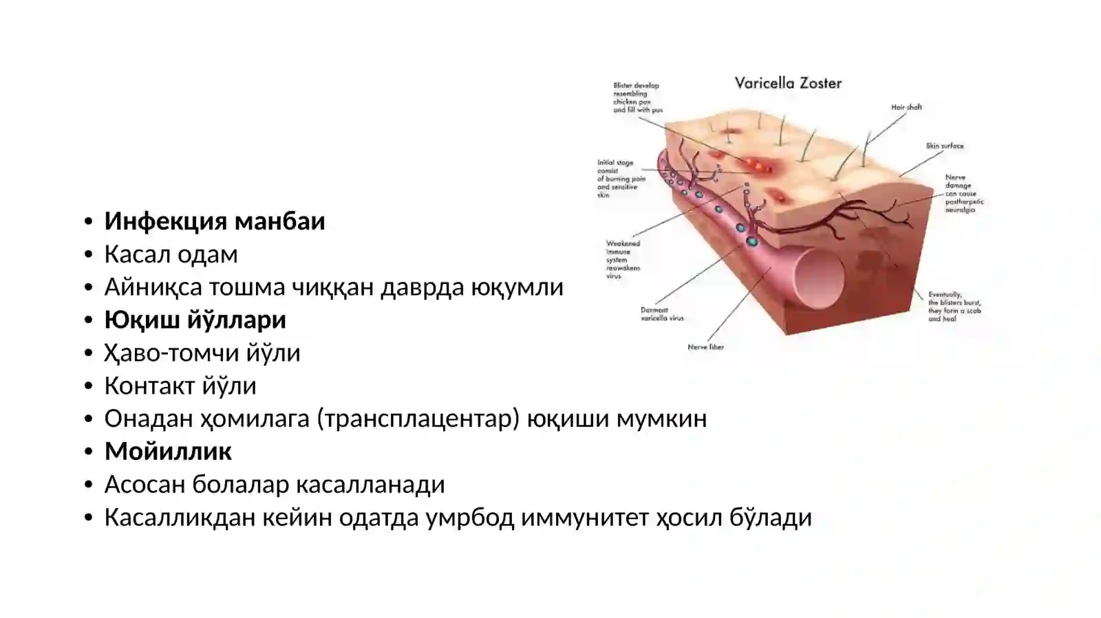 Сувчечак 3