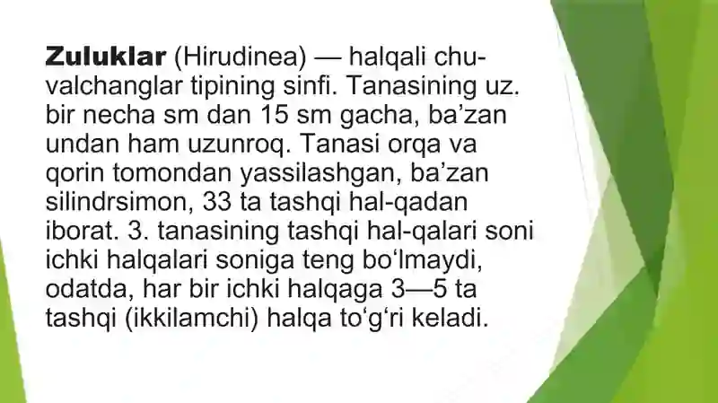 Zuluklar (Hirudinea) 3