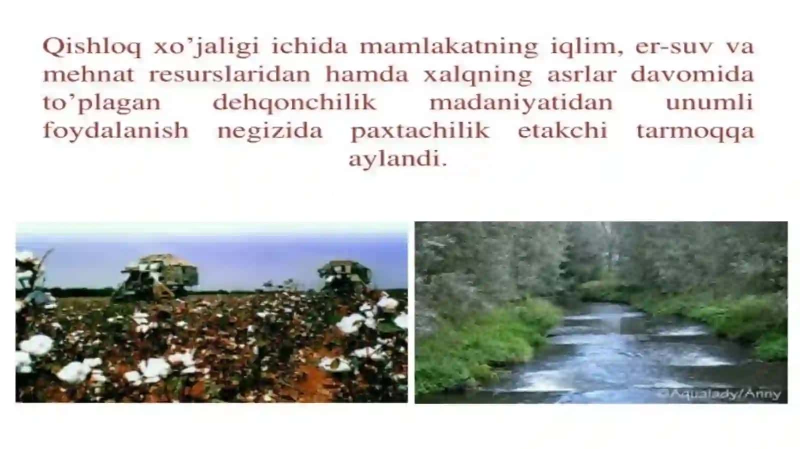 Chorvachilik fermer xo'jaliklarini rivojlantirish bo'yicha ilg'or tajribalar va texnologiyalar 3