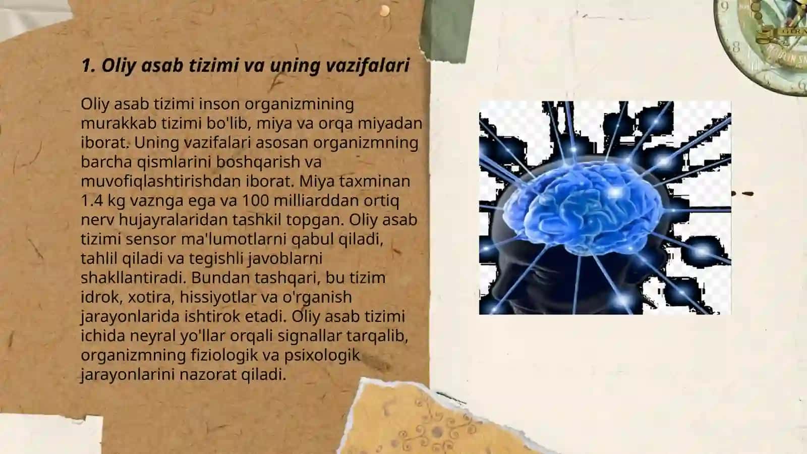 Oliy asab tizimining faoliyati haqida I. Pavlovning taʼlimoti 3