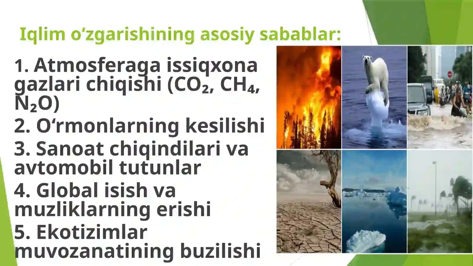 Kasalliklarni global tashvishi. Iqlim o‘zgarishlarining tibbiy oqibatlari 3