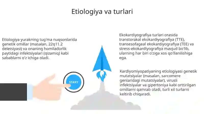 Ekokardiyografiya 3