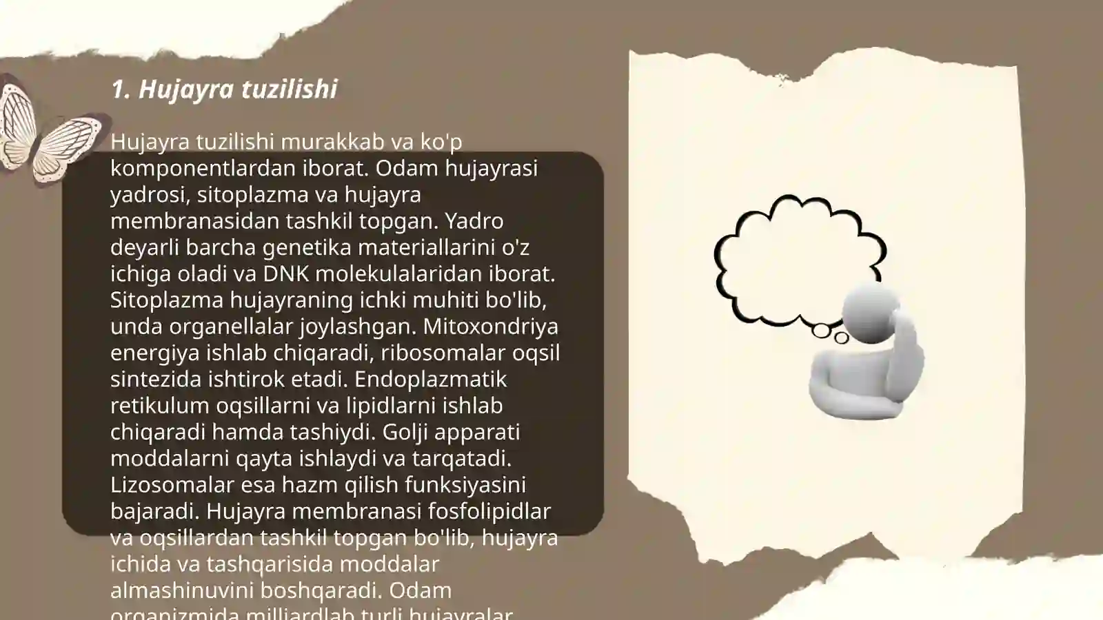 Hujayra 3