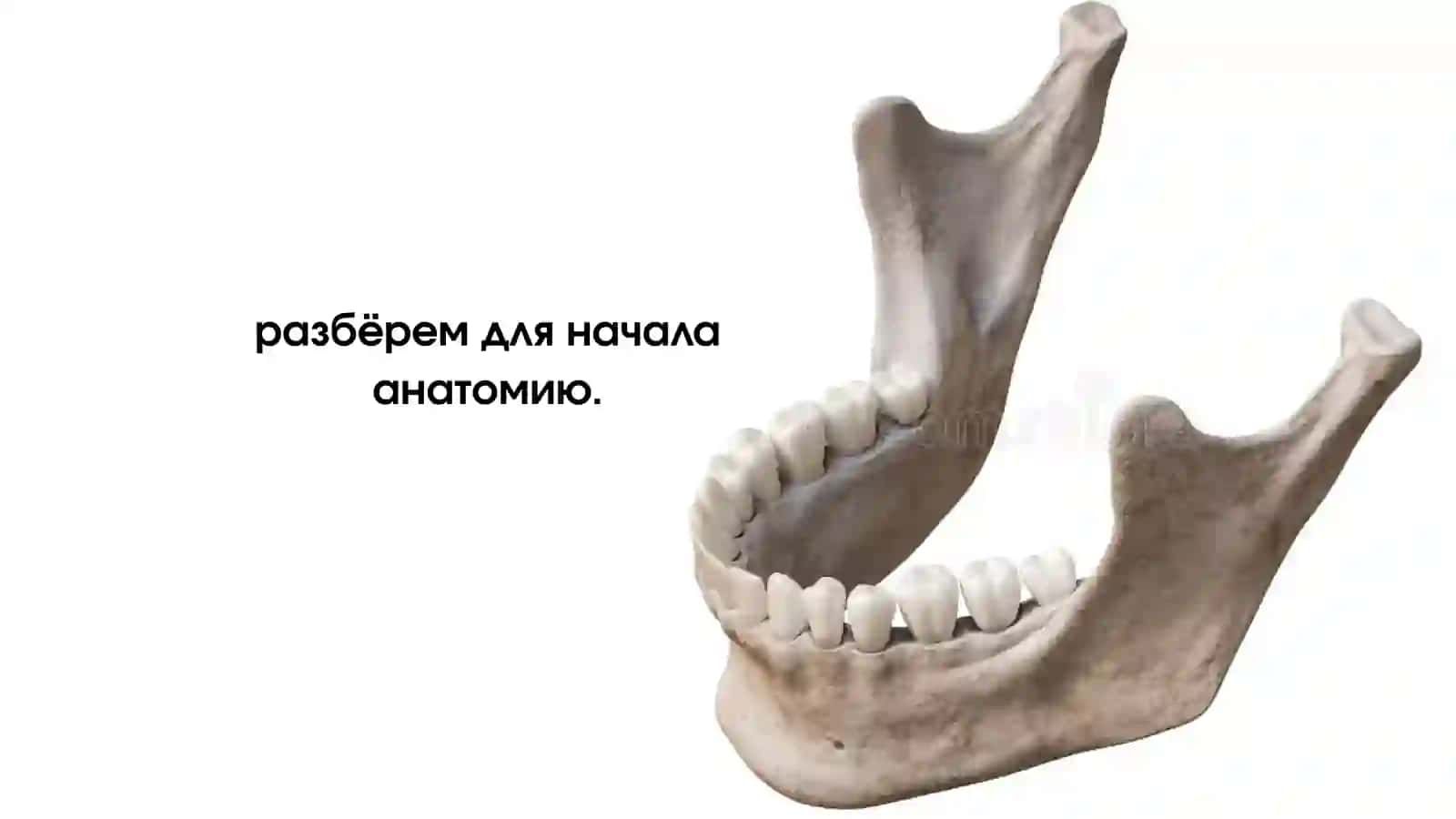 Мандибулярная анестезия 3