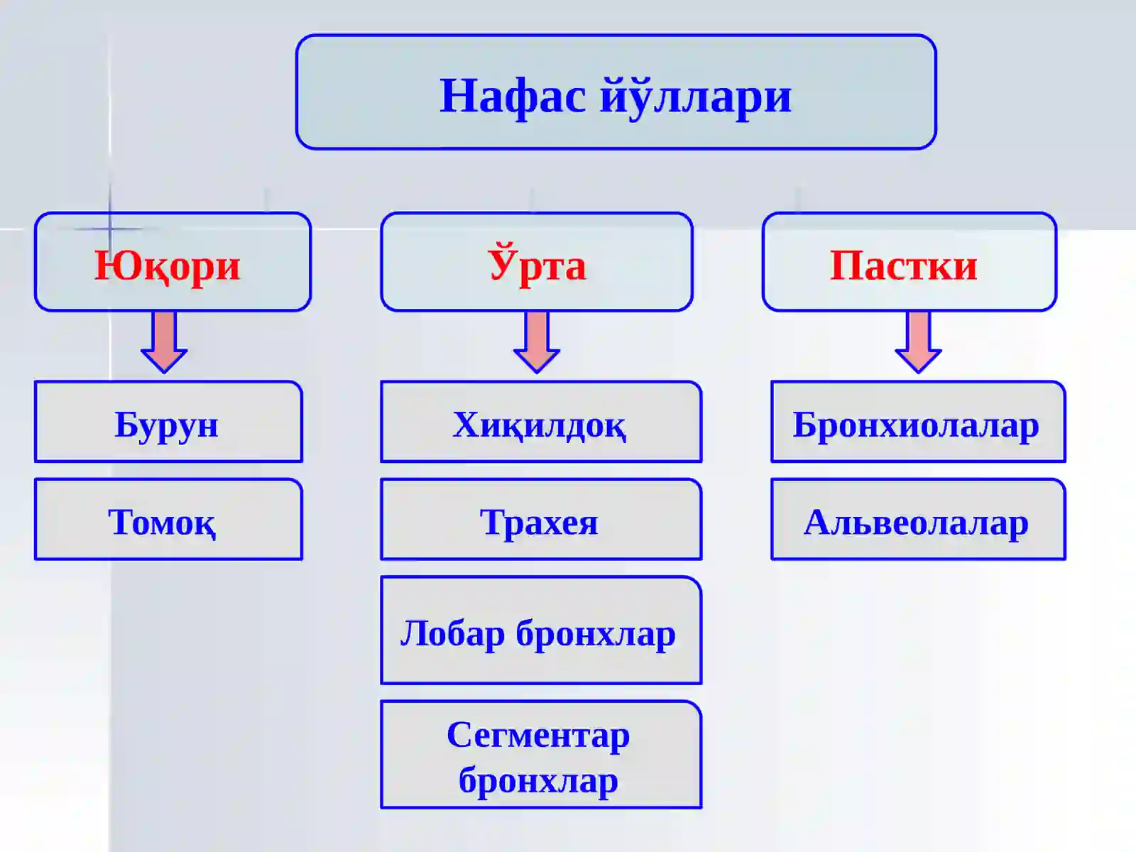 БОЛАЛАРДАПНЕВМОНИЯ 3