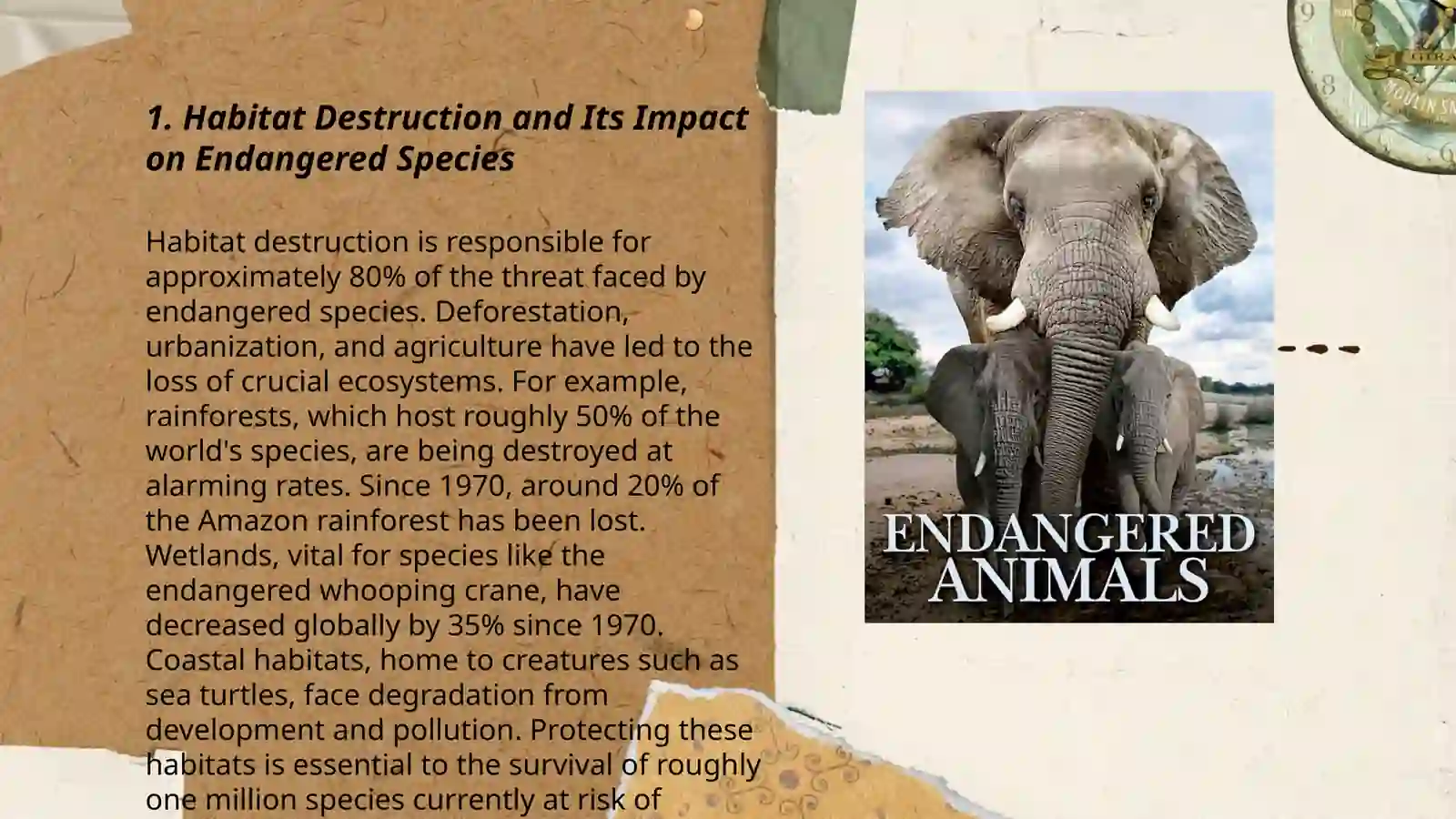 Endangered animals 3