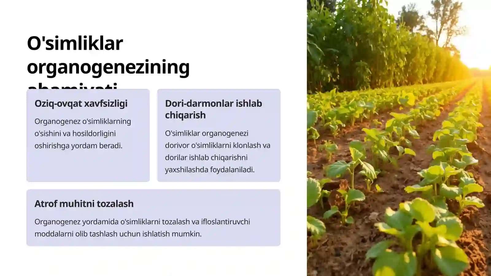 O'simliklarning organagezining boshqarilishi 3