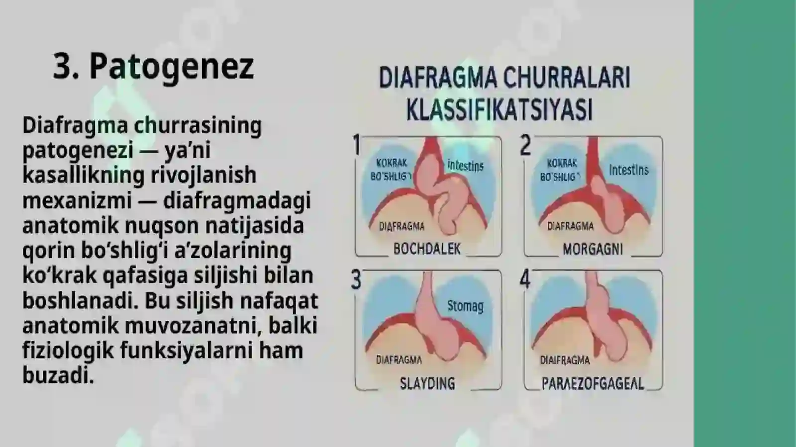 ichki churralar 3