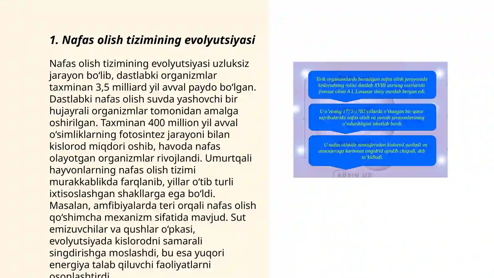 Nafas olish tizimining qiyosiy gistalogik tavsifi 3
