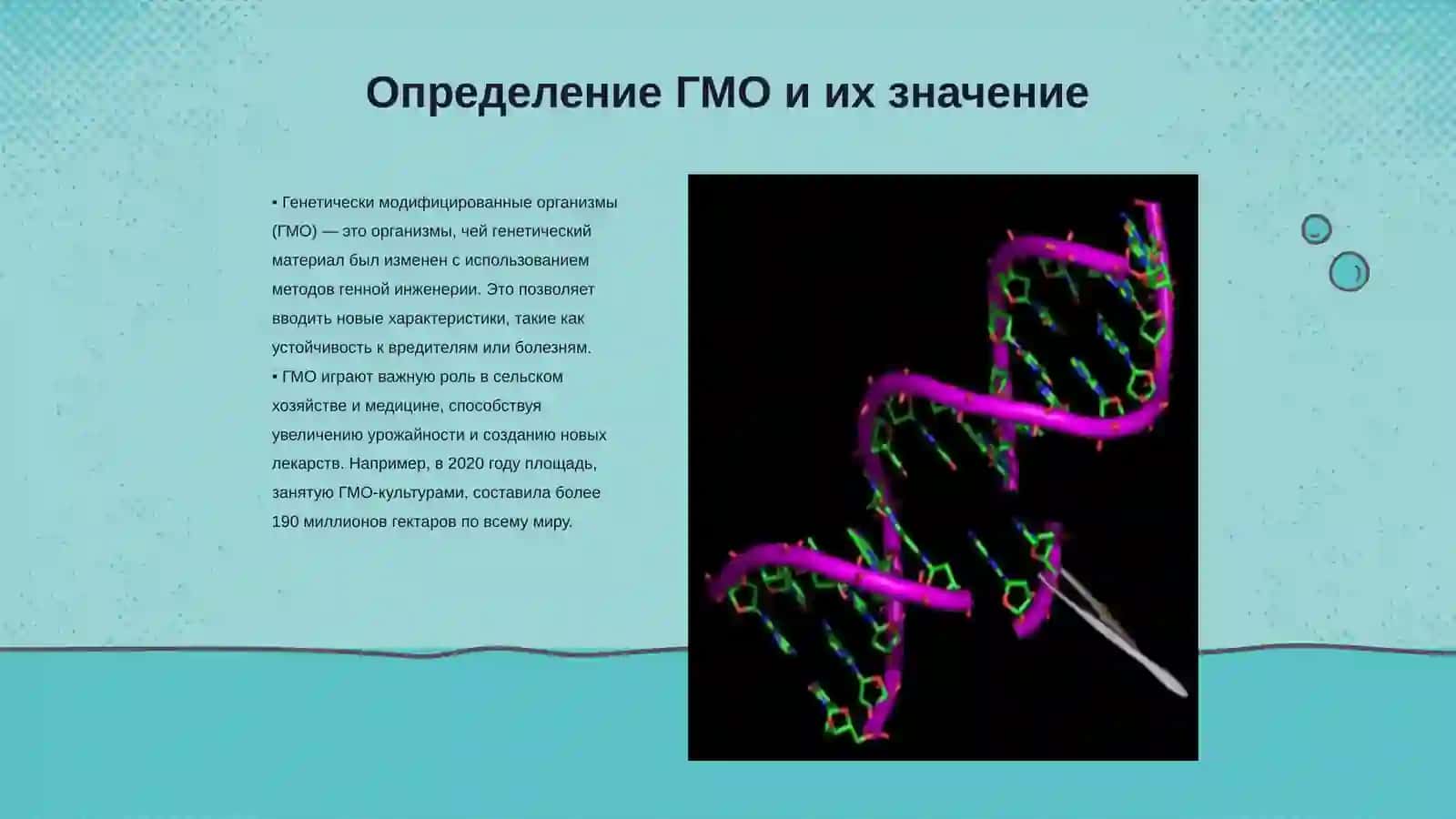 Генетически модифицированные организмы: за и против 3