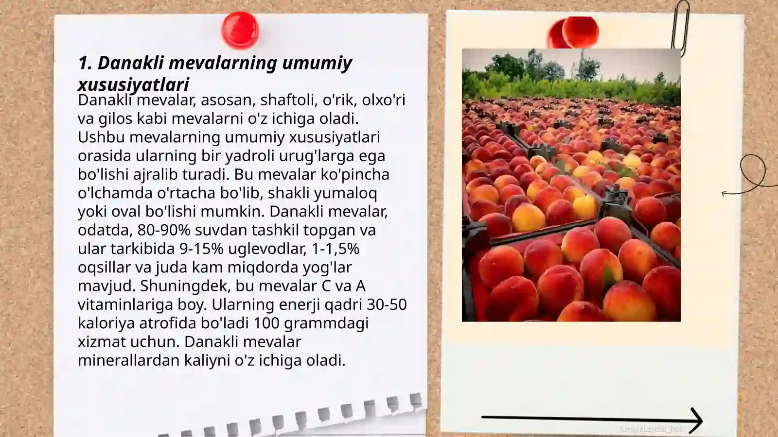 Danakli mevalar 3
