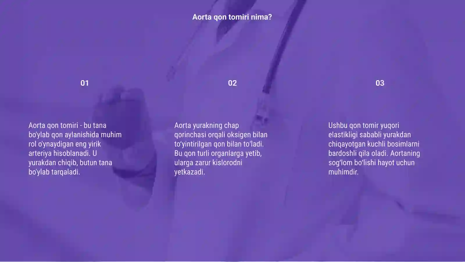 Aorta qon tomiri 3
