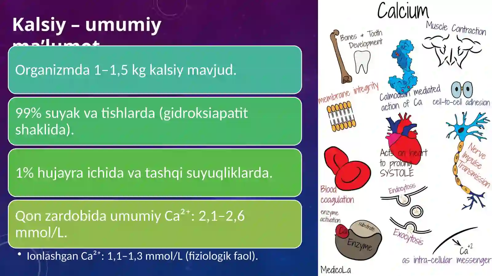 Kalsiy va fosfatlar almashinuvi 3