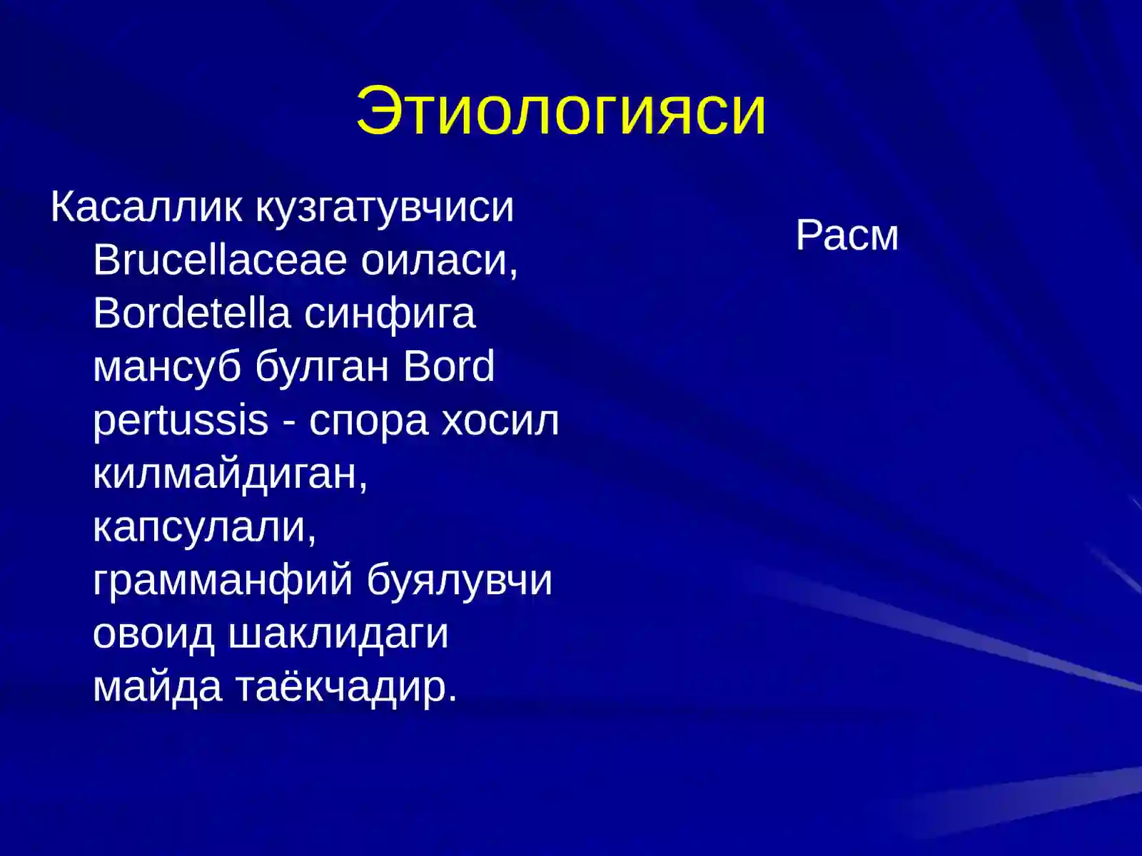 КЎКЙЎТАЛ 3