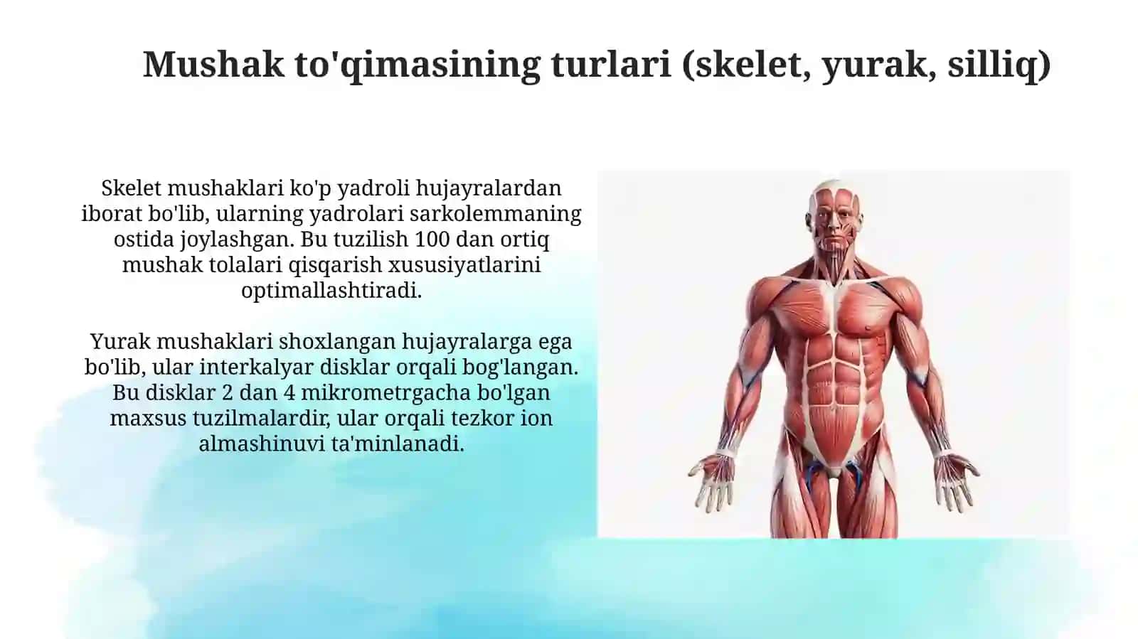 Mushak qisqarish mexanizmining morfologikasoslari 3