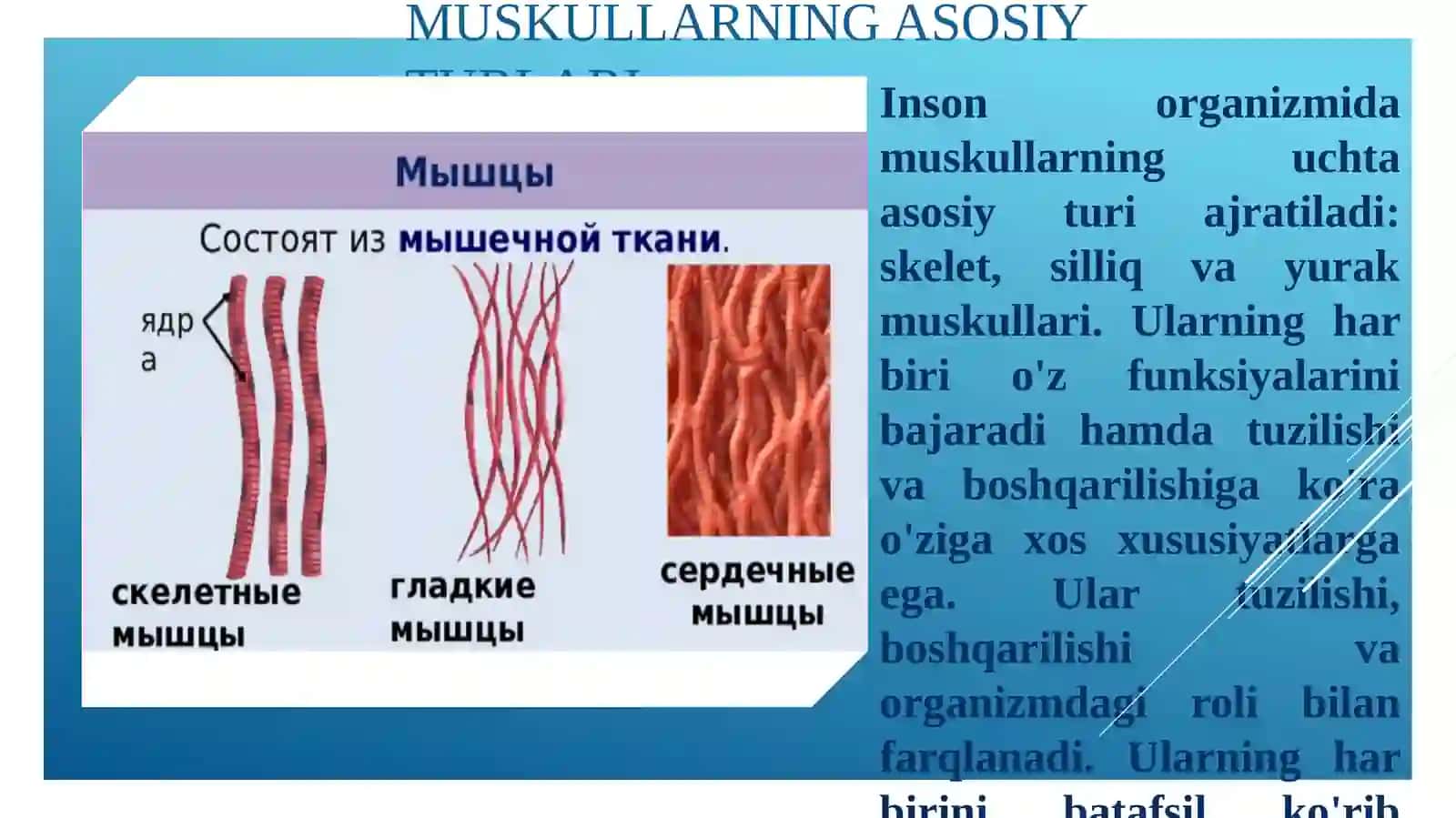 Jismoniy madaniyat va salomatlik asoslari 3