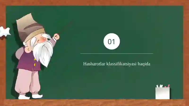 Hasharotlar klassifikatsiyasi 3