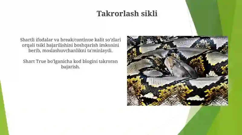 Tsikllar turlari 3