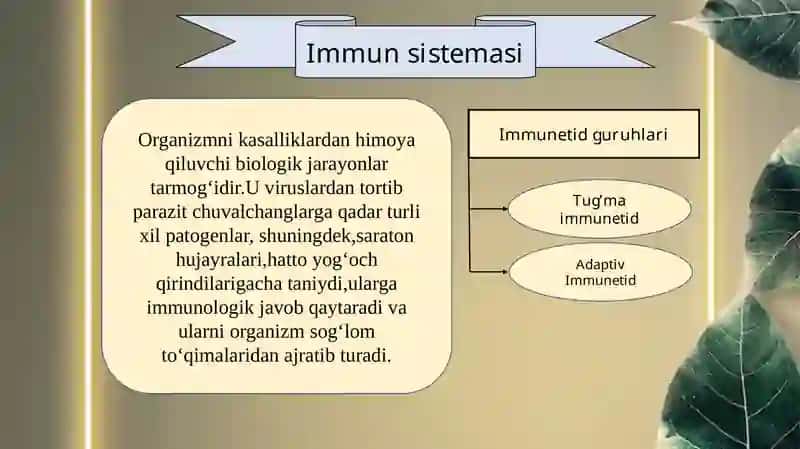 IMMUN TIZIMINING SHAKLLANISHI VA YOSHGA QARAB O‘ZGARISHI 3