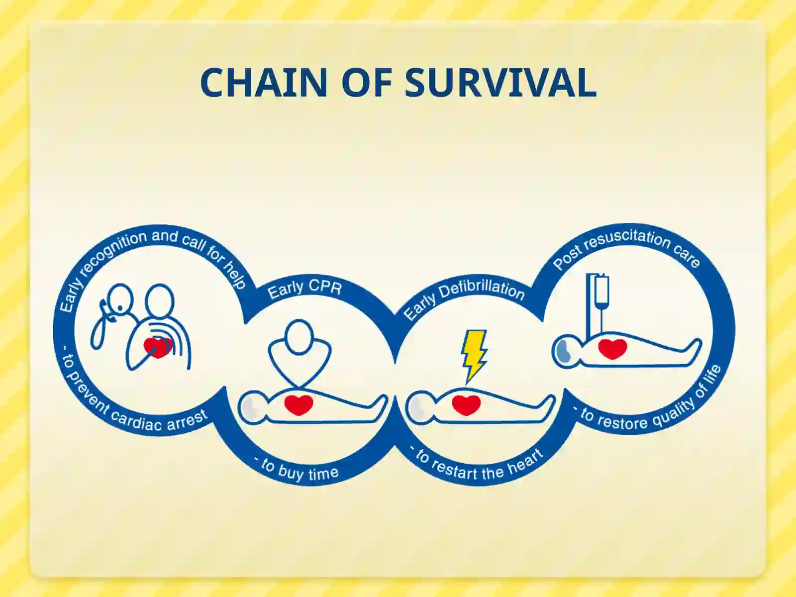 BASICLIFE SUPPORT(BLS) 3