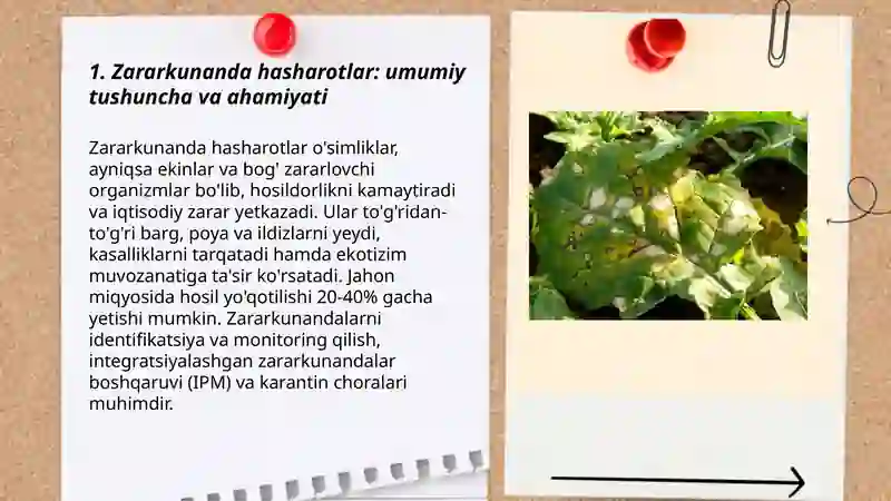Zararkunanda hasharotlar 3