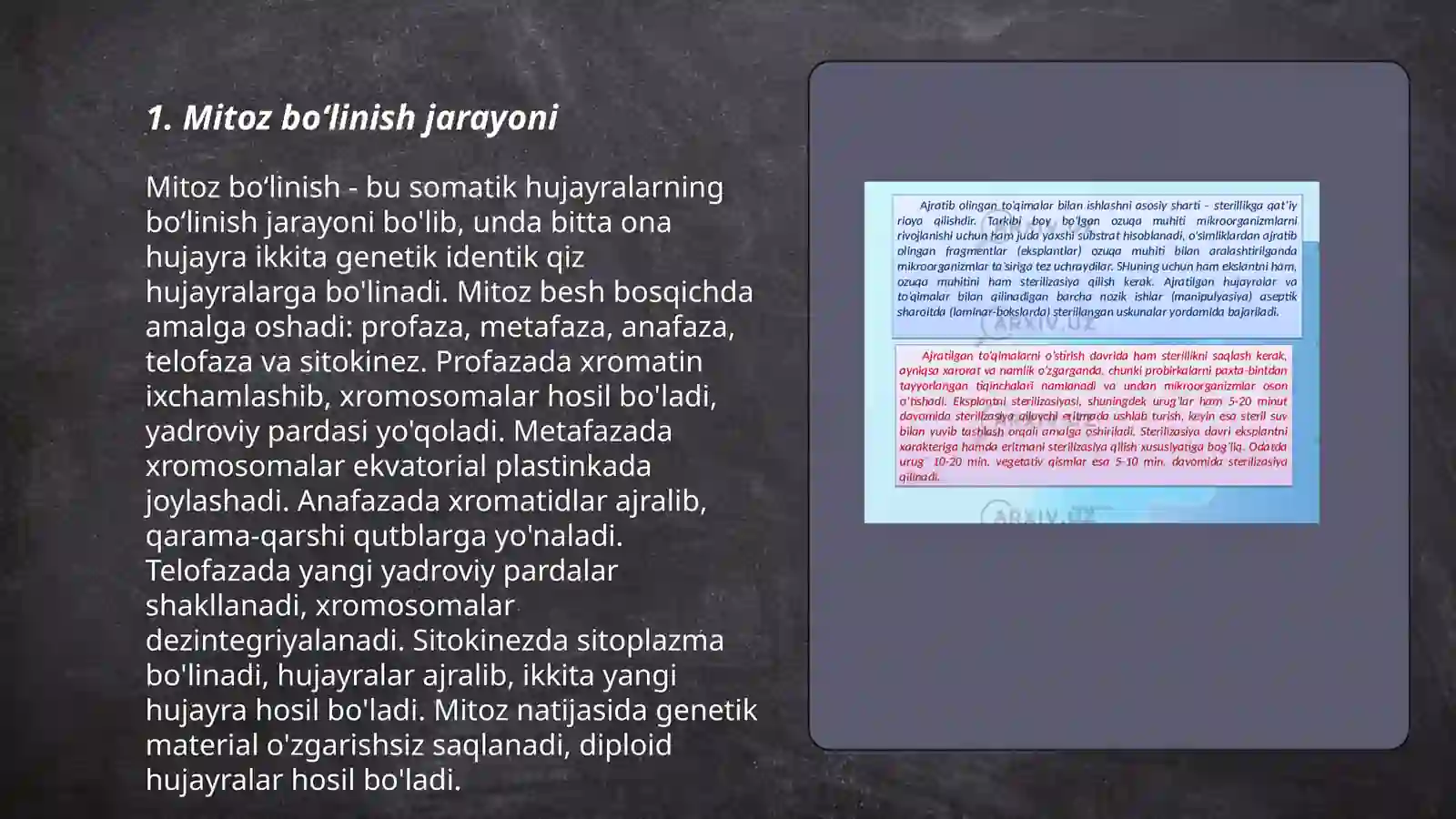 Mitoz boʻlinish jarayoni 3