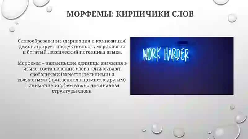 Морфология и словообразование 3