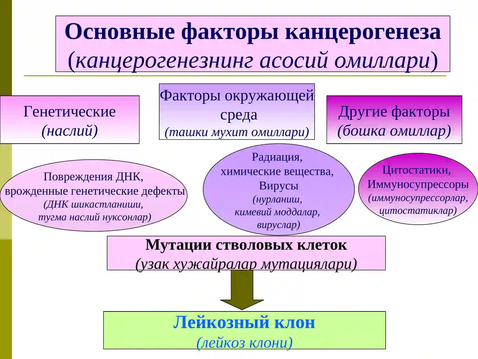 ОСТРЫЕ ЛЕЙКОЗЫ(Уткир лейкозлар) 3