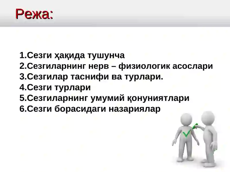 Sezgi 3