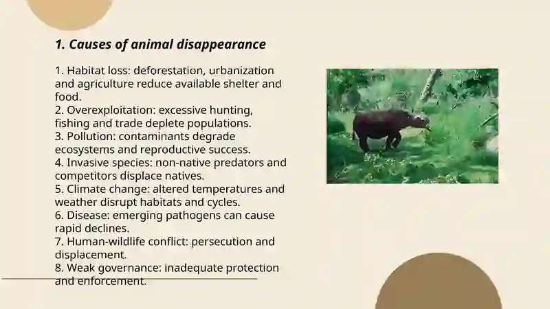 Disappearing animals 3