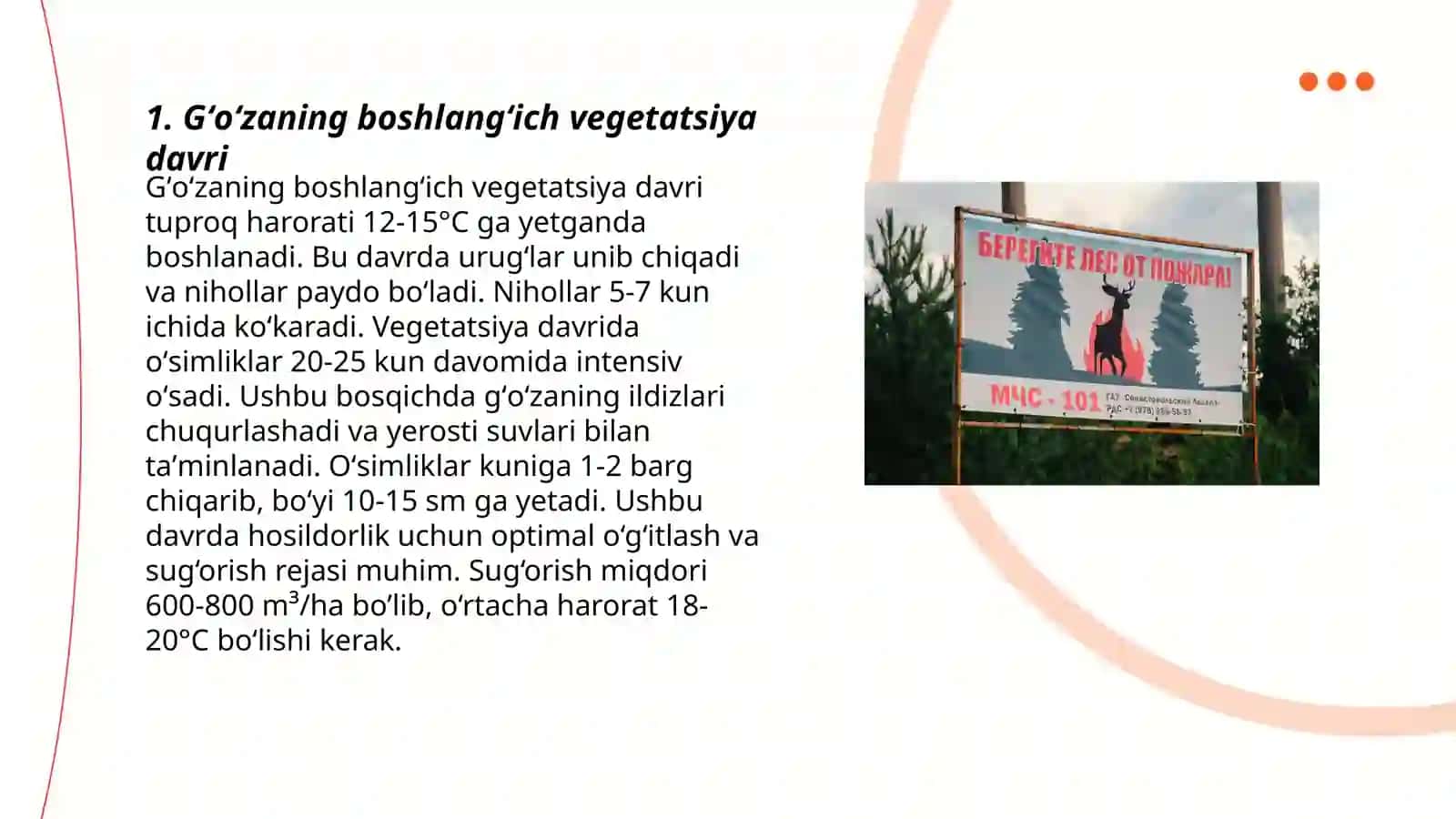 Gʻoʻzaning vegetatsiya davrlari 3